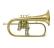 flugelhorn